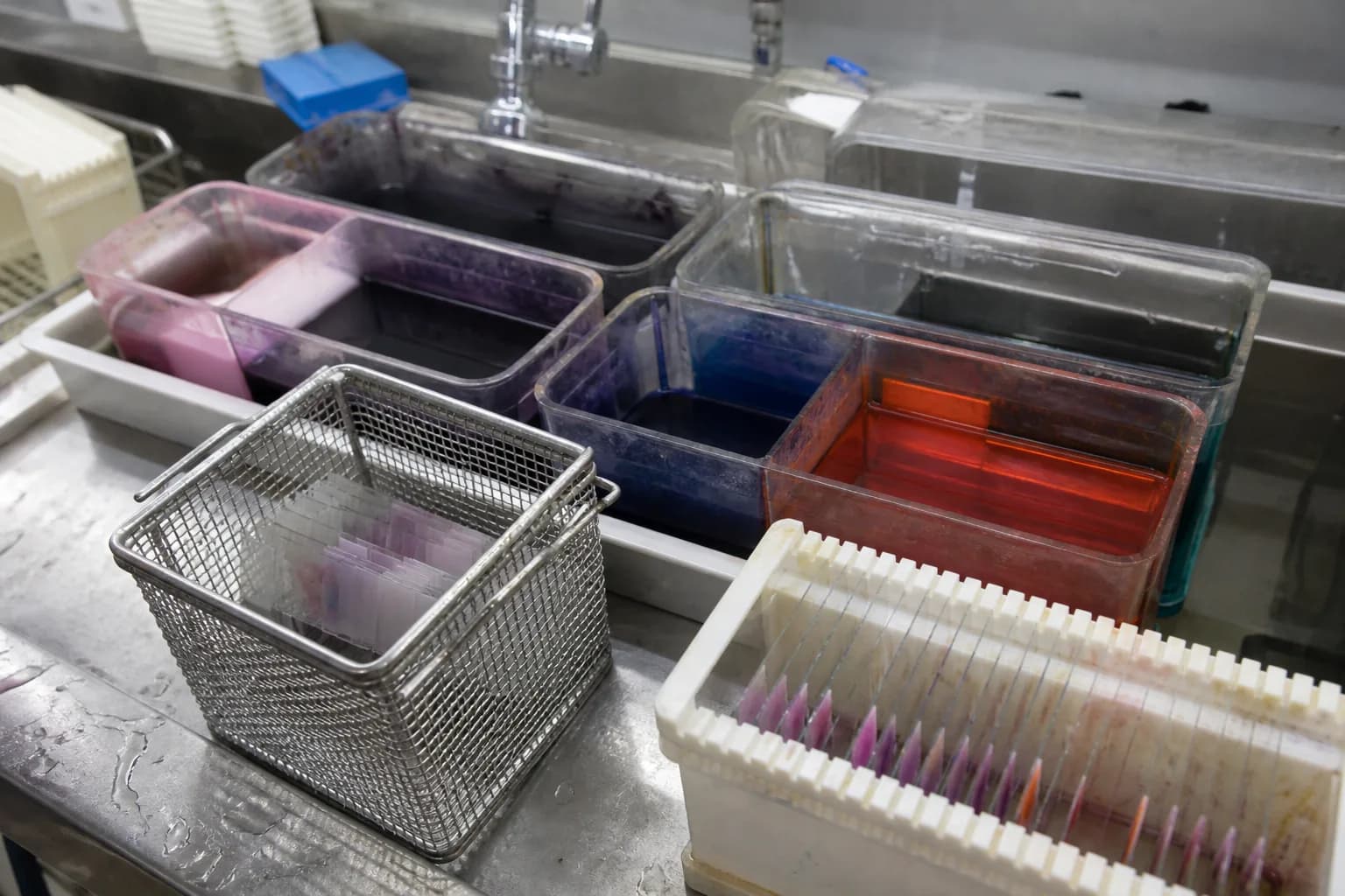 New collection point performance compared against established laboratory sites