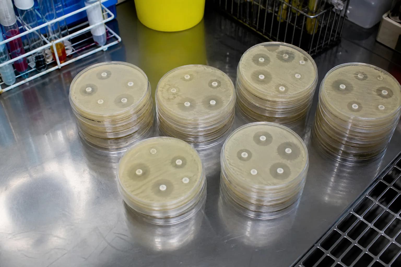 Laboratory Quality Control: A Practical Westgard Rules Guide